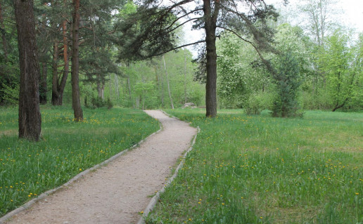 18_Žerkščių pušynas.jpg